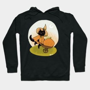 Fall Harvest Hoodie